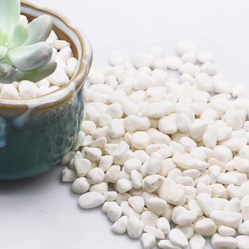 TOYPOPOR Mini White Pebbles Decorative Stones 6lbs
