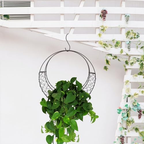 11 Inch Iron Wire Wreath Frame Hanger - Moon Shape Hanging Plant Holder