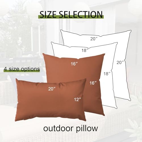 Premium 18x18 Inch Outdoor Throw Pillows 2 PCS Red