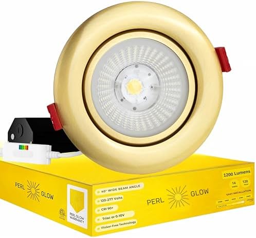 4 Inch Gimbal Downlight with Brushed Brass Finish