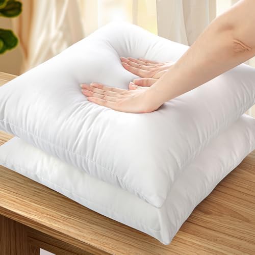 OTOSTAR Waterproof Throw Pillow Inserts 18x18 Inches Pack of 2