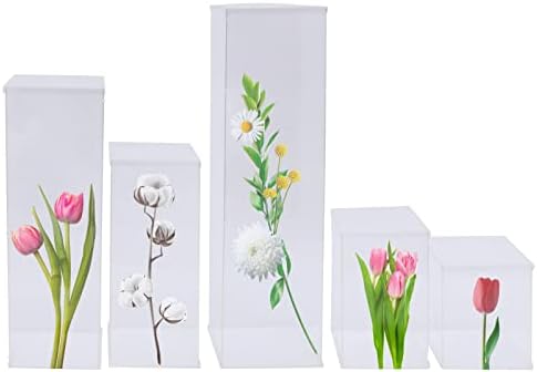 5 Pcs Clear Acrylic Pedestal Display Stands for Decorations