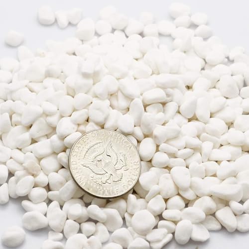 TOYPOPOR Mini White Pebbles Decorative Stones 6lbs