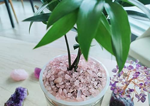 Zhiyuxi Rose Quartz Chips for Decor and Healing