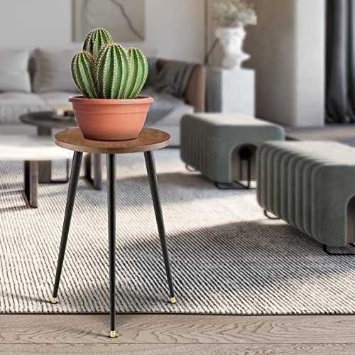KINNARY Tall Indoor Plant Stand with Modern Design