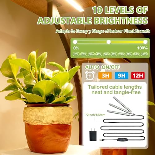Tall 6-Tier Plant Stand with LED Grow Lights