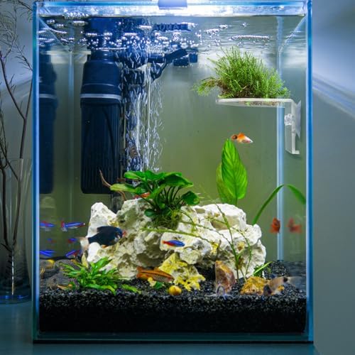 Suwimut 4 Pack Floating Shelf for Windows and Aquariums