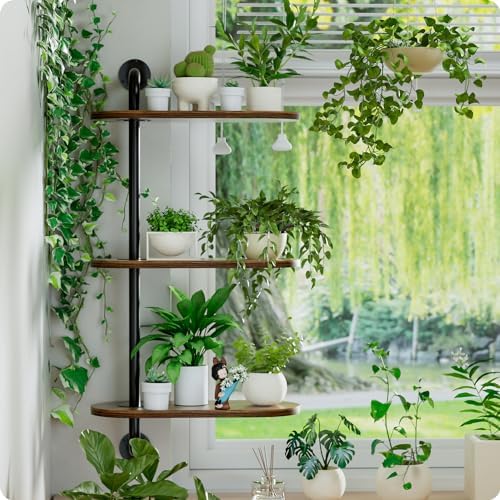 Butunita Rotating 3-Tier Plant Shelf Wooden Wall Stand
