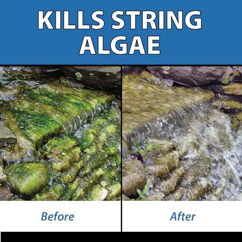 CrystalClear AlgaeOff Scum Cleaner 8 lbs