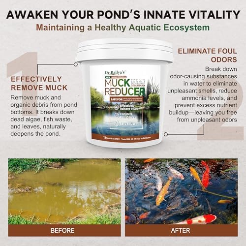 DrRaifyas Muck Reducer Pellets 6 LB - Natural Pond Sludge Solution