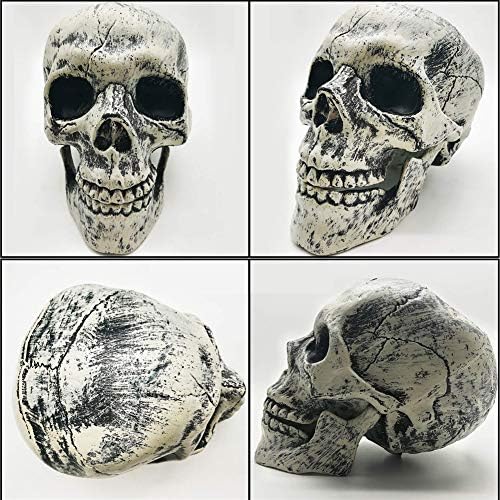 UMEELR Realistic Halloween Skeleton Stakes Decorations 3Pcs