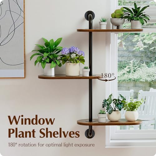 Butunita Rotating 3-Tier Plant Shelf Wooden Wall Stand