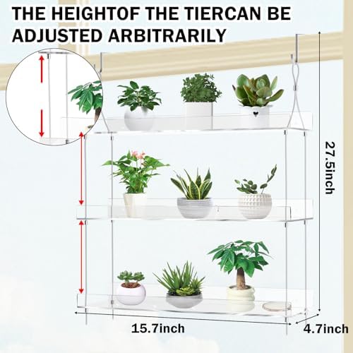 2-Tier Clear Acrylic Hanging Window Plant Shelves with Hooks and Suction Cups