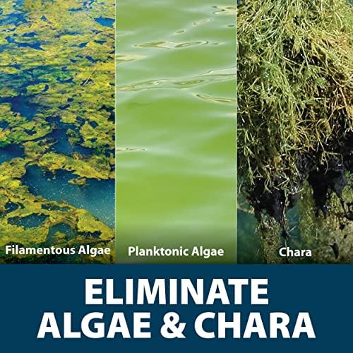 Airmax Algae Defense 1 Gallon Algaecide