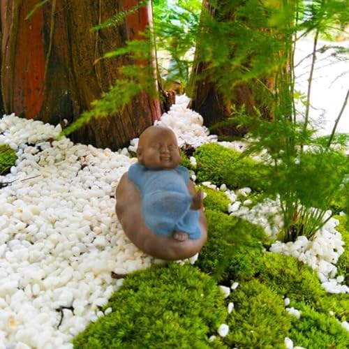 TOYPOPOR Mini White Pebbles Decorative Stones 6lbs