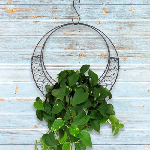 11 Inch Iron Wire Wreath Frame Hanger - Moon Shape Hanging Plant Holder