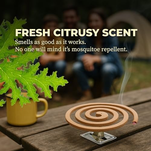 KING Mosquito Coils 60-Pack with 6 Stands for 8 Hours Protection