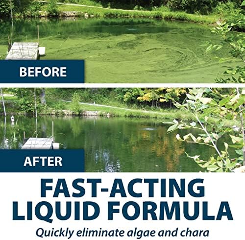 Airmax Algae Defense 1 Gallon Algaecide