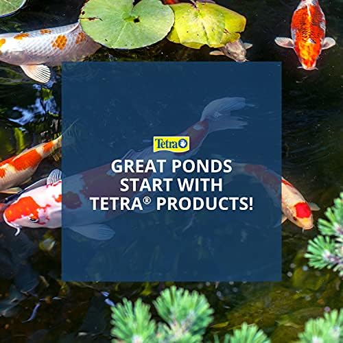 Tetra Pond Block 4 Count Algae Control