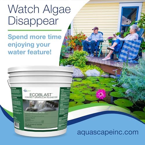 Aquascape EcoBlast Contact Algaecide 384 oz