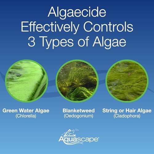 Aquascape Algaecide for Ponds 8-Ounce