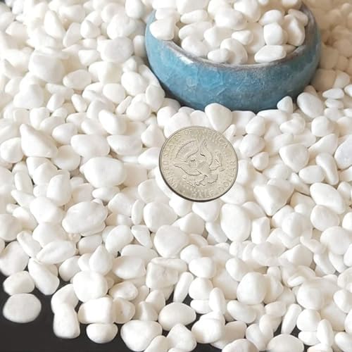 TOYPOPOR Mini White Pebbles Decorative Stones 6lbs