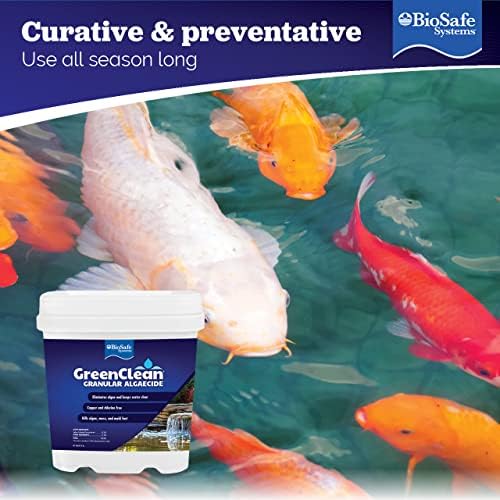 BioSafe Systems GreenClean Granular Algaecide 8 lbs