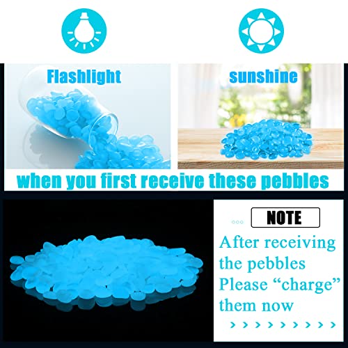 900pcs Glow in The Dark Rocks Outdoor Decor