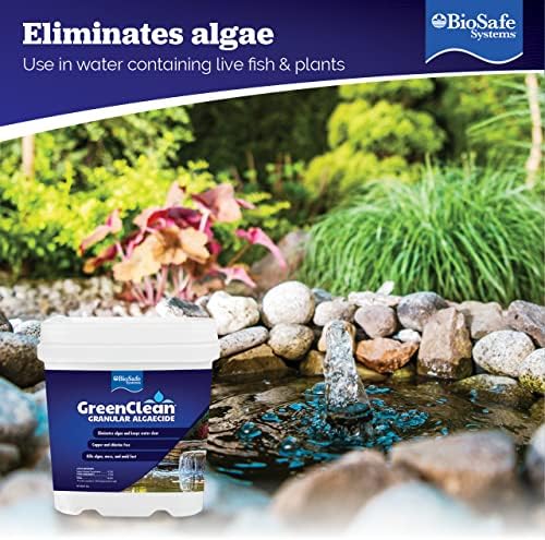 BioSafe Systems GreenClean Granular Algaecide 8 lbs
