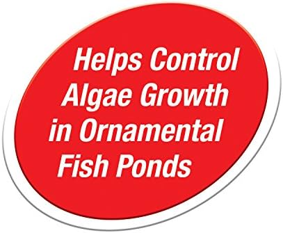 Tetra Pond Block 4 Count Algae Control