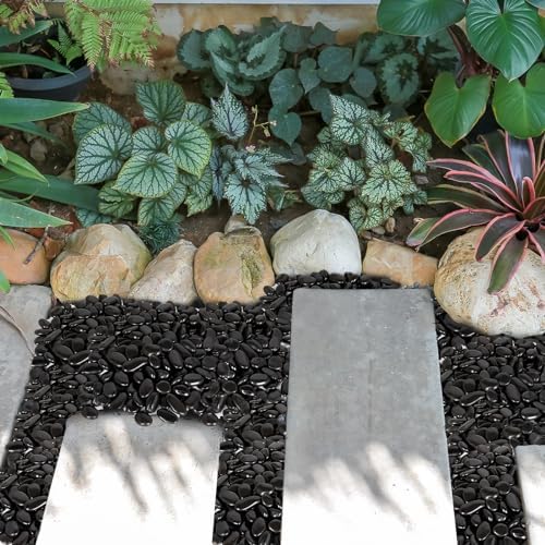 GASPRO 30 Pound Black Polished Pebbles for Garden Decor