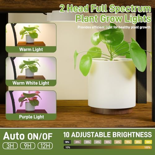 6 Tier Indoor Plant Stand with Grow Lights