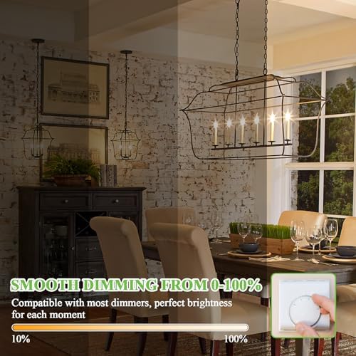 GoBright Dimmable E12 LED Bulbs 12-Pack 60W Equivalent