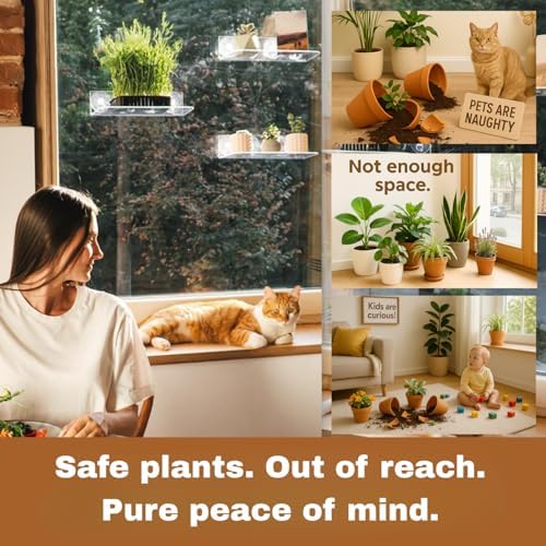 NovaMode 3 Pack Window Floating Acrylic Shelves Clear