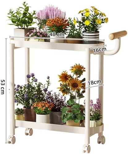 Modern 2-Tier Metal Plant Stand with Wheels and Handle