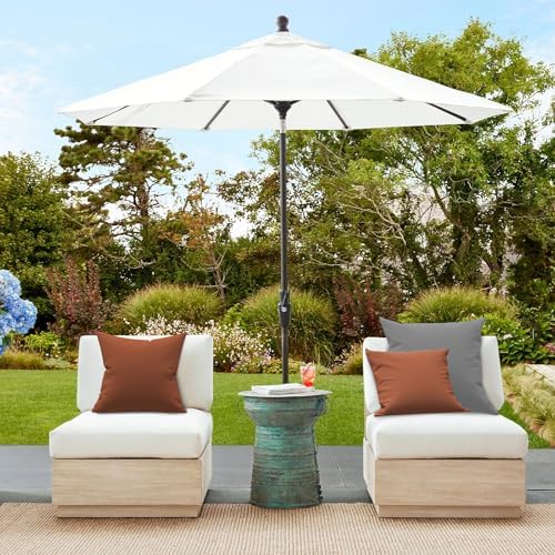 Premium 18x18 Inch Outdoor Throw Pillows 2 PCS Red