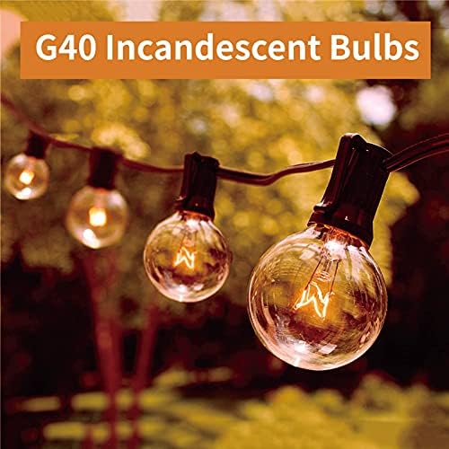 Meconard G40 Replacement Light Bulbs 5 Watt Warm White 25 Pack