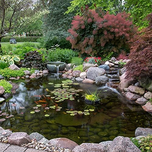 Aquascape EcoBlast Contact Algaecide 384 oz